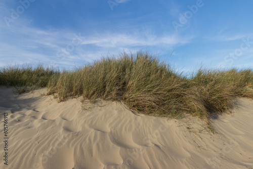 Sand dune with with marram grass.