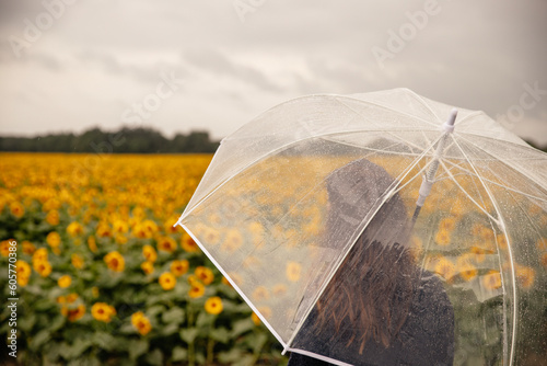 rainy days with sunflower