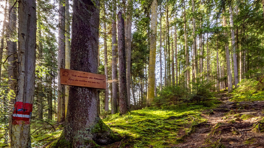 Mein Wünscheweg in Flachau - Energie und Inspiration Mein Wünscheweg in Flachau - Energie und Inspiration