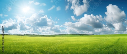 Panoramic natural landscape with green grass field, blue sky with clouds and and mountains in background. Panorama summer spring meadow. Shallow depth of field