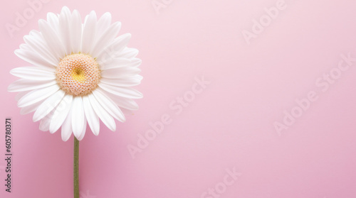 White Daisy On A Light Pink Background, With Space For Writing Text, Created With Generative AI