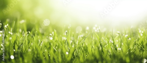 Natural background with young juicy green grass in sunlight with beautiful bokeh. Summer spring panorama banner