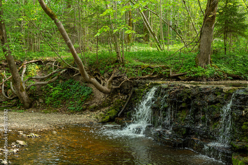 Forest scene with Ivande waterfall in May in Latvia photo