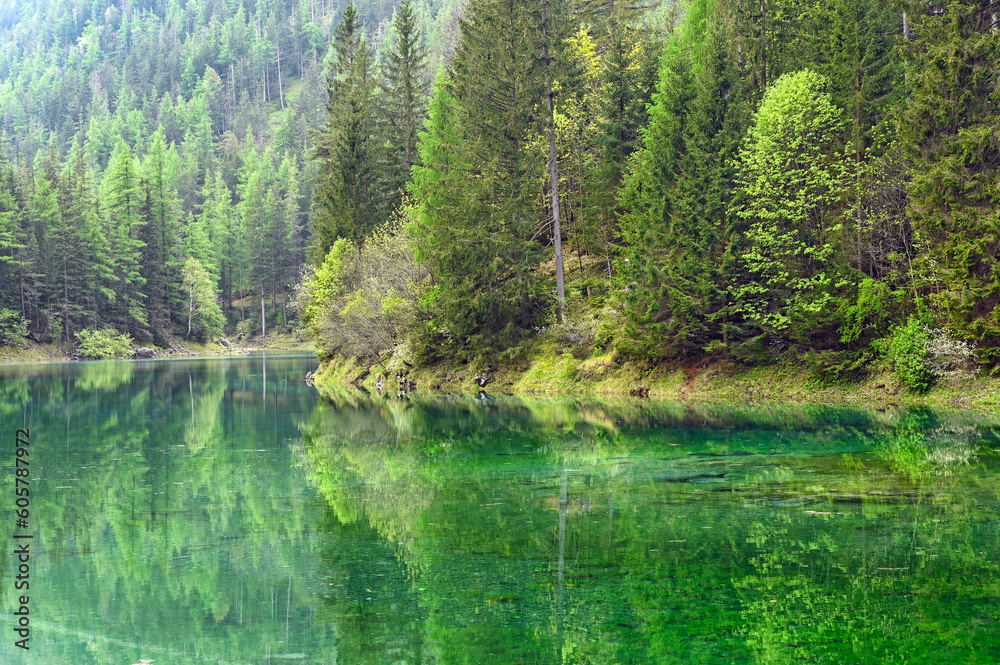 Reflection of the forest in the water,The Green Lake in Styria,Austria