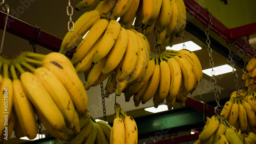 Bananas penduradas em uma feira de frutas photo