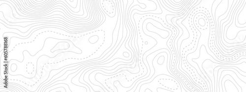 Abstract topographic wavy curve line background. Topography map pattern, Geographic curved relief. Topographic lines background. Vector illustration.