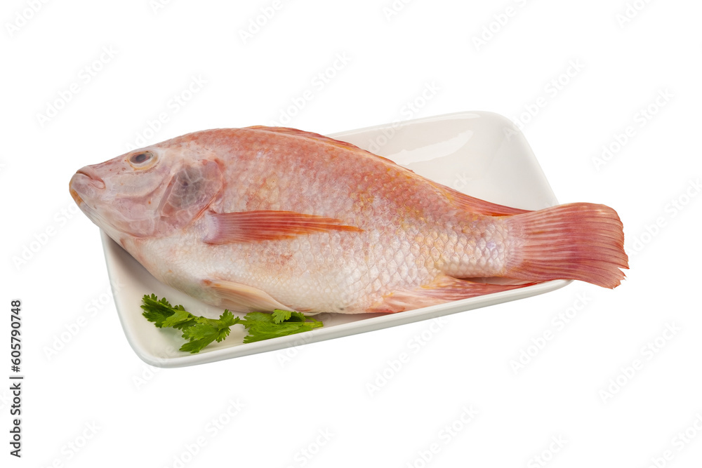 Red Tilapia Fish (Tubtim) in white plate isolated on white background with clipping path Red Tilapia Fish (Tubtim) in white plate isolated on white background with clipping path