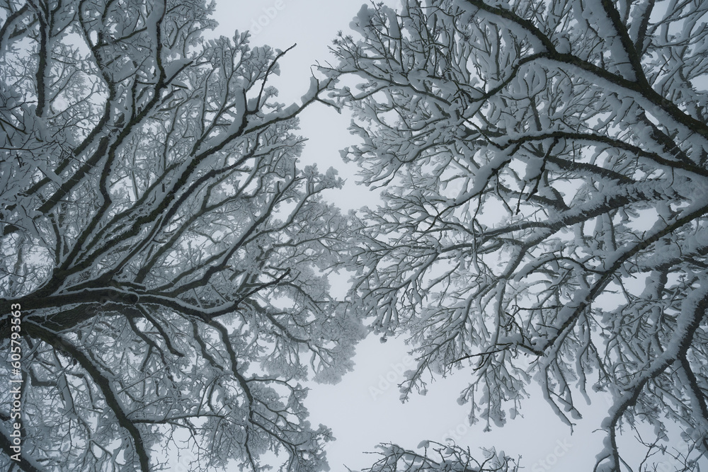 Snow puzzle Snow puzzle
