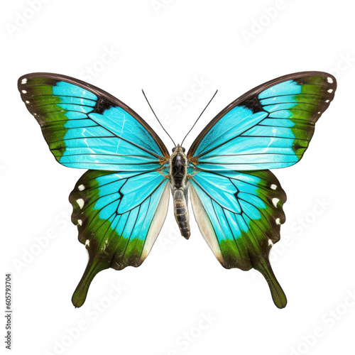 Common bluebottle butterfly -  Graphium sarpedon 1. Transparent PNG. Generative AI