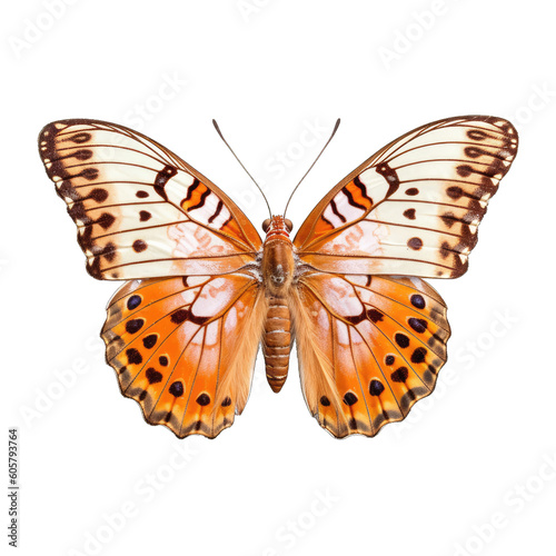 Fritillary butterfly - Argynnis spp. Transparent PNG. 1. Transparent PNG. Generative AI