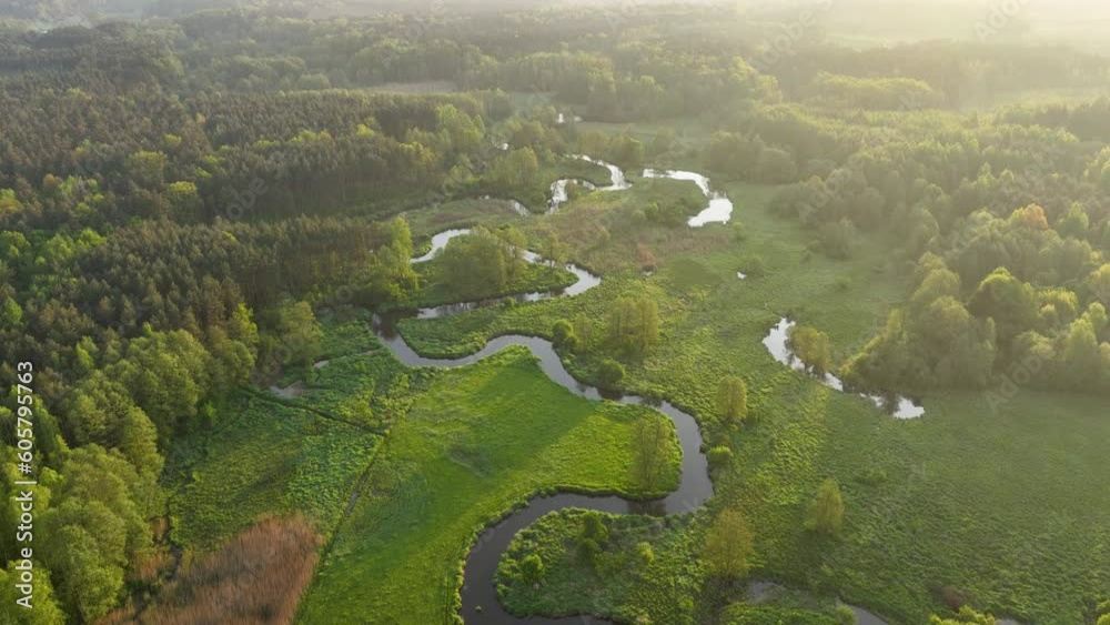 Beautiful spring morning over the forest and river - drone aerial view Beautiful spring morning over the forest and river - drone aerial view