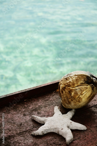 Coconut and sea star decoration against Turquoise sea water, Holiday concept