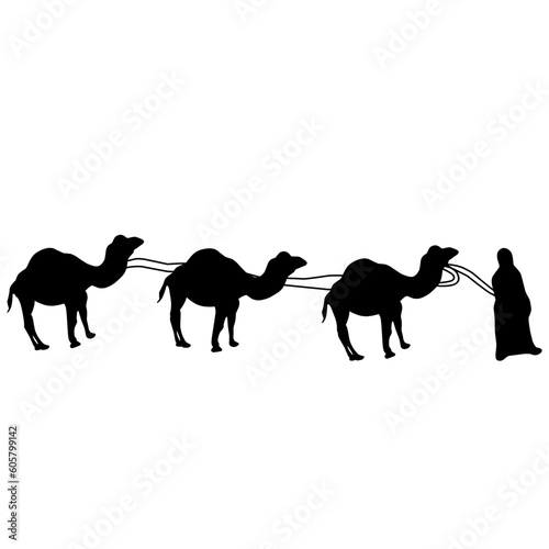 Arabian Camel Illustration Collection, Flat Vector Design. Arabian Design Camels, With People Migrating. Suitable for elements on ramadan, greeting cards, posters, flyers