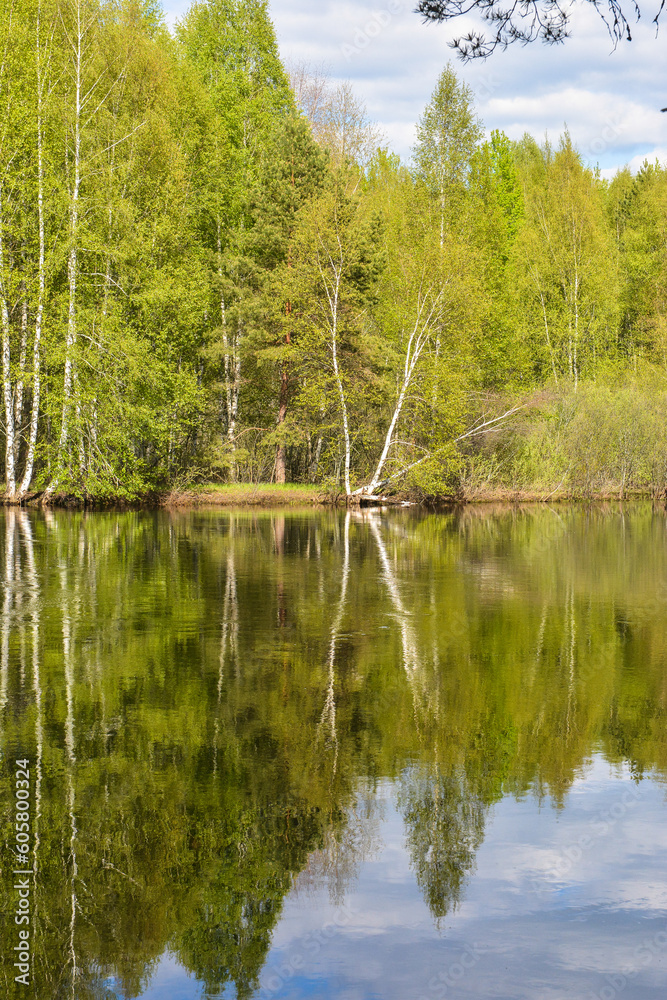 On the forest river in the Meshchersky National Park. On the forest river in the Meshchersky National Park.
