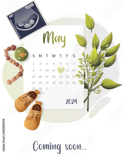 Baby is coming calendar with ultrasound, vector