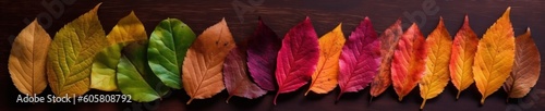 Rainbow colored realistic autumn leaves. AI generative illustration.