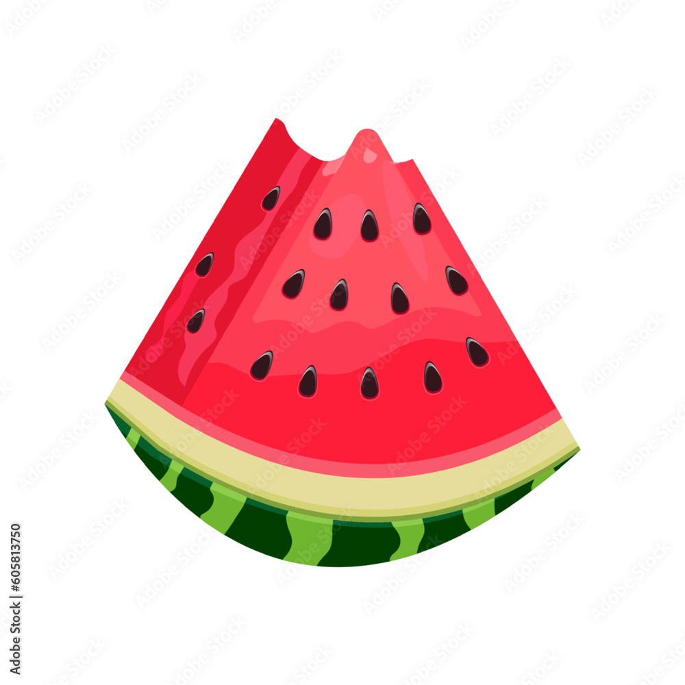 Slice of fresh watermelon. Fruit illustration for farm market menu. Healthy food design Slice of fresh watermelon. Fruit illustration for farm market menu. Healthy food design