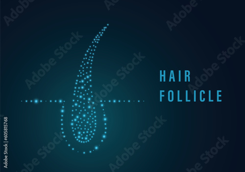Hair follicle. Male-pattern baldness, alopecia, thinning hair, alarming levels of hair fall. Concept. Split tips, dry or sun protection concept. Hair care medical treatment