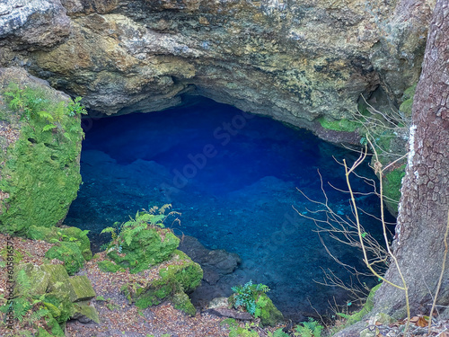 Jewel's Sink, Alachua County, Florida photo