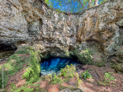 Jewel's Sink, Alachua County, Florida photo