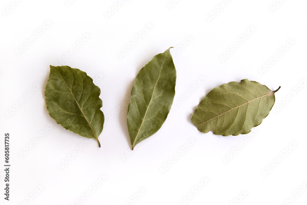 Dry fragrant bay leaves on a white background. Spice for cooking. healthy organic food. Bay tree (Laurus nobilis), which is commonly found in the Mediterranean region.