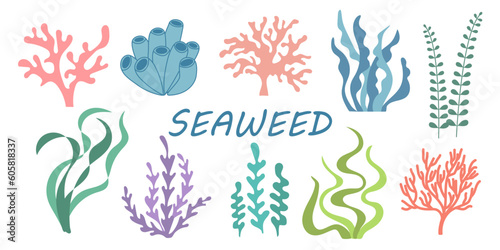 Big collection of isolated cartoon seaweeds. Set of colorful hand drawn underwater plants. Summer vector doodle illustration