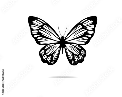 butterfly hand drawn design vector