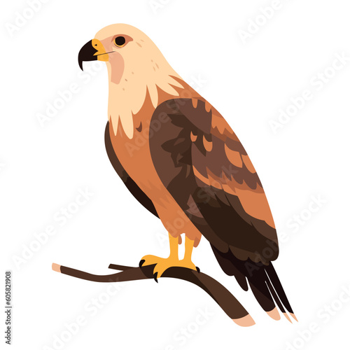 Bald eagle perching on tree branch