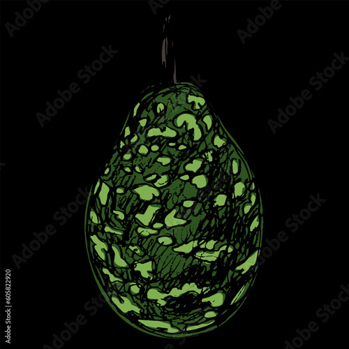 Bottle Gourd Speckled Bottle. Lagenaria siceraria. Green calabash Opo squash. Hand drawn rough sketch. On black background.