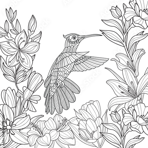 Amazing tropical hummingbirds adult coloring page for stress relieving and mind relaxation
