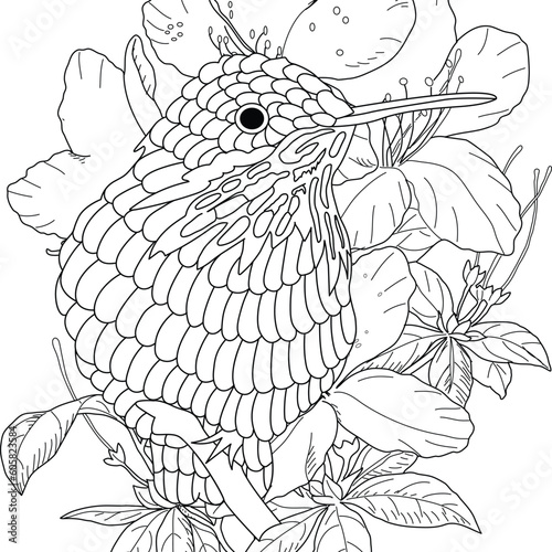 Coloring pictures of cute hummingbirds and flowers for adult coloring book. | Tropical Birds Coloring Page |