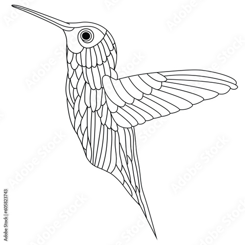 Cute hummingbird bird coloring book page line art illustration for kids. Topical birds adults coloring pages.

