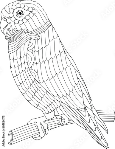 Coloring pages of cute little tropical parrot sit on the branch. Hand-drawn parrots cockatoo coloring book page.