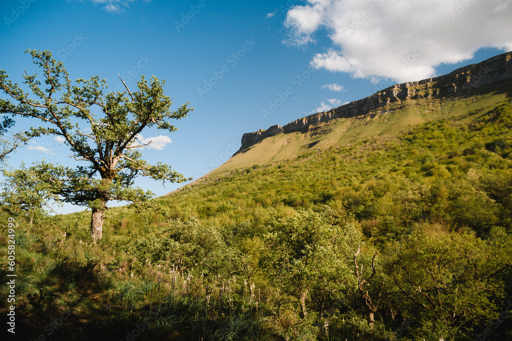 Green landscape with a view of the Tologorri peak on a sunny spring day with an oak tree in the foreground. In the Ayala Valley, Alava, Basque Country. 