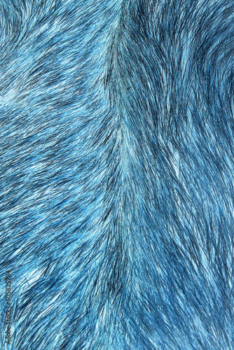 Texture. Animal fur. The coat is long and short. Colored and monochrome wool. Fox wool. Hedgehog fur.