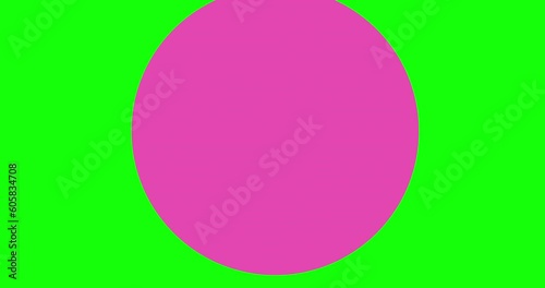 Wallpaper Mural Abstract bright colors geometric background with moving circles. Circle transition template for presentation, educational video, or simple text animation. Torontodigital.ca