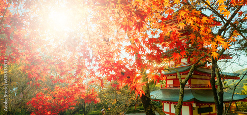 Japan. Kawaguchiko. Fuji, p...