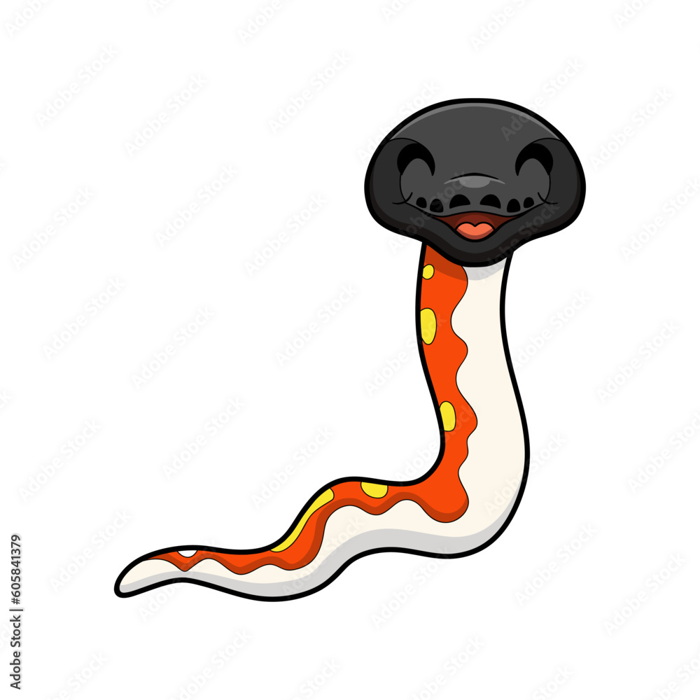 Fototapeta premium Cute red blood python cartoon