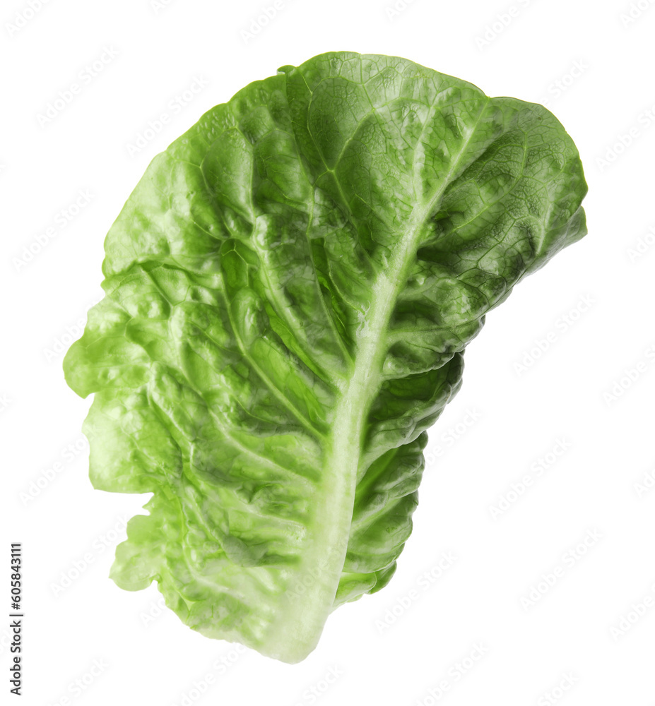 Fresh leaf of green romaine lettuce isolated on white Fresh leaf of green romaine lettuce isolated on white