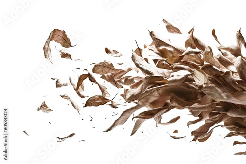 A photograph of dry brown leaves being blown off by the gusts