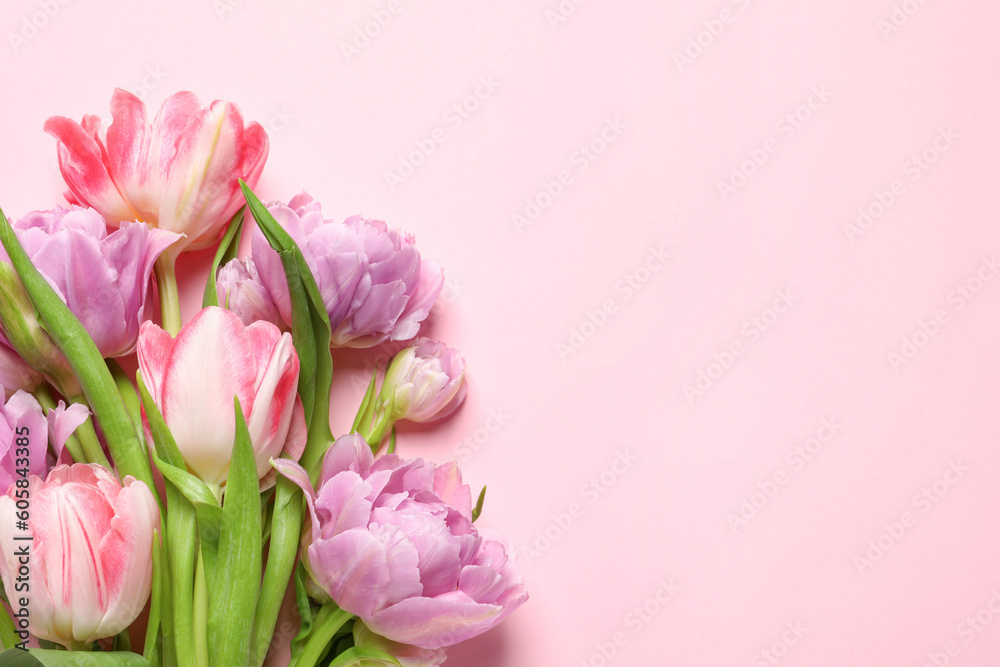 Beautiful colorful tulip flowers on pink background, top view. Space for text Beautiful colorful tulip flowers on pink background, top view. Space for text