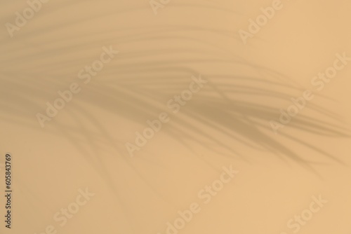 Shadow of tropical palm leaves on beige background © New Africa