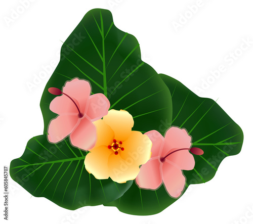 Jungle flower on green leaf. Tropical nature element