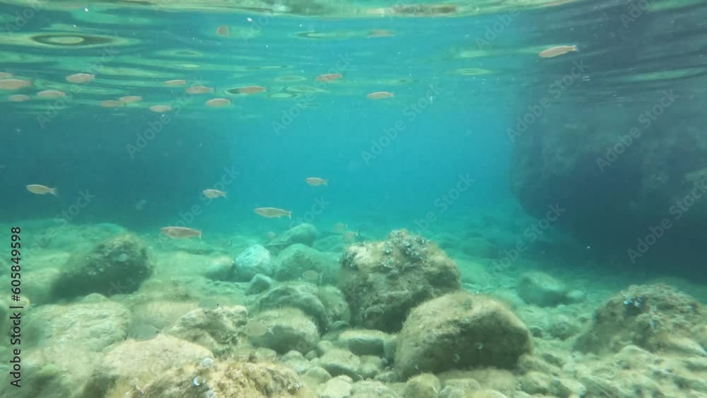 Surface of water with ripples, sunlight, flock of fish swims in shallow water above the rock bottom . Underwater landscape diving, snorkeling exploring sea world. Summer sports active rest Surface of water with ripples, sunlight, flock of fish swims in shallow water above the rock bottom . Underwater landscape diving, snorkeling exploring sea world. Summer sports active rest
