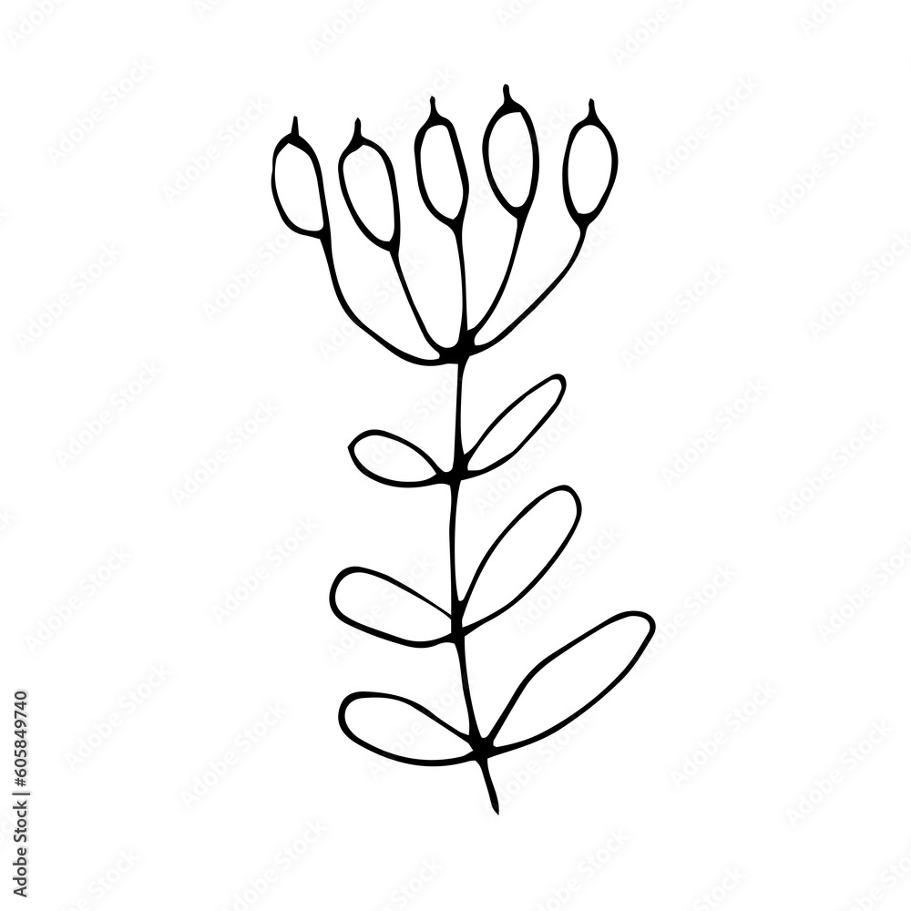 cherry with leaf hand drawn ornament cherry with leaf hand drawn ornament