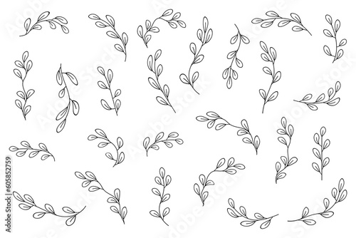 Hand drawn set with twigs elements. Wedding summer collection. Vector illustration.