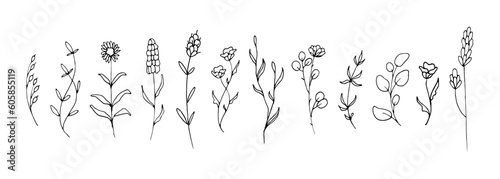 Set of floral hand drawn illustration © berkahjayamaterial