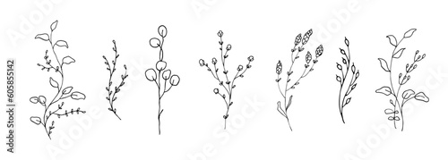 Set of wild flower hand drawn illustration