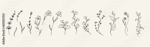 Bundle of minimalist floral hand drawn illustration
