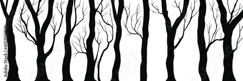 Silhouettes of trees  tree trunks and branches isolated on white background  natural background  banner